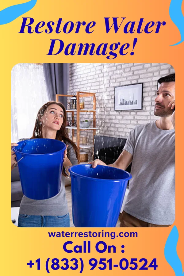 water restoration Master Water Damage Crew Nanawale Estates