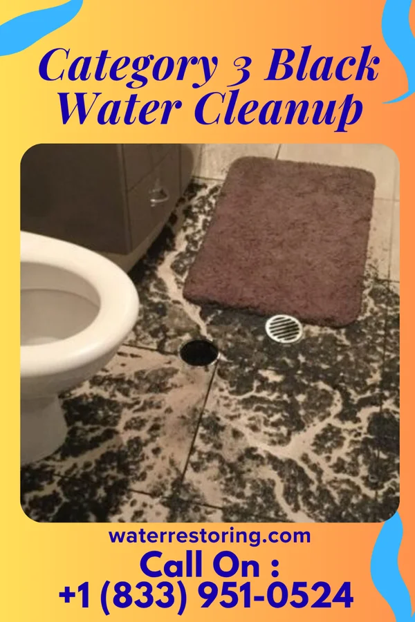 Category 3 Black Water Cleanup in Nanawale Estates, HI