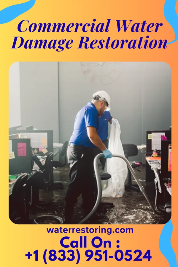 Commercial Water Damage Restoration in Nanawale Estates, HI