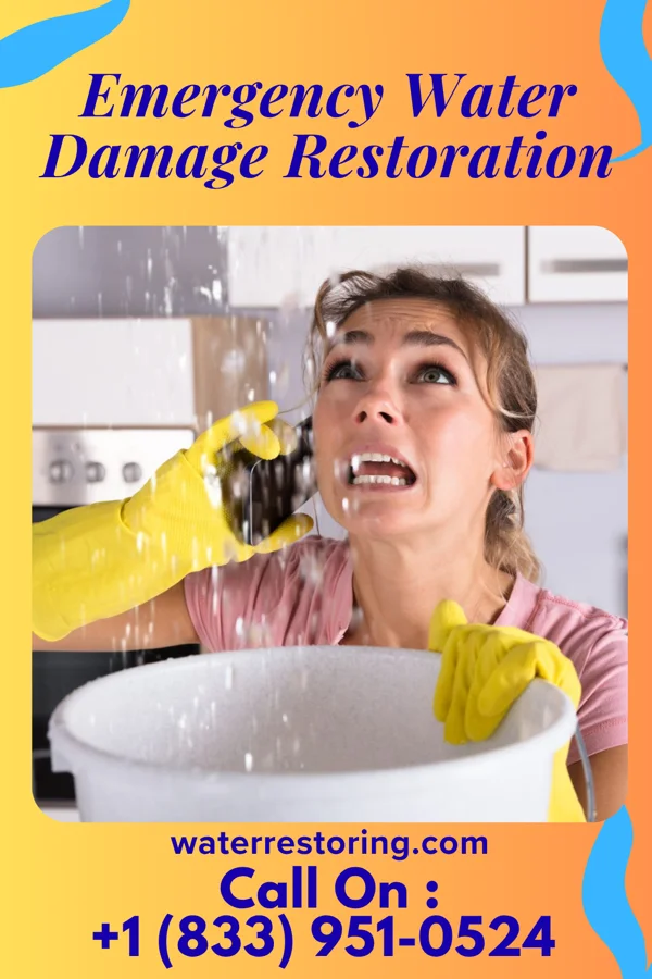 Emergency Water Damage Restoration in Nanawale Estates, HI