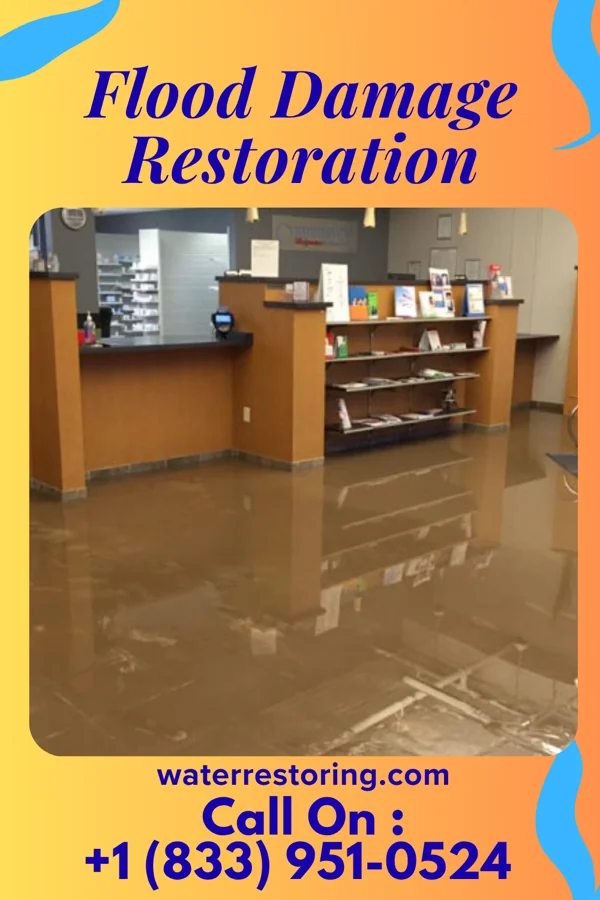 Flood Damage Restoration in Nanawale Estates, HI