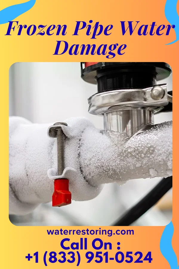 Frozen Pipe Water Damage in Nanawale Estates, HI