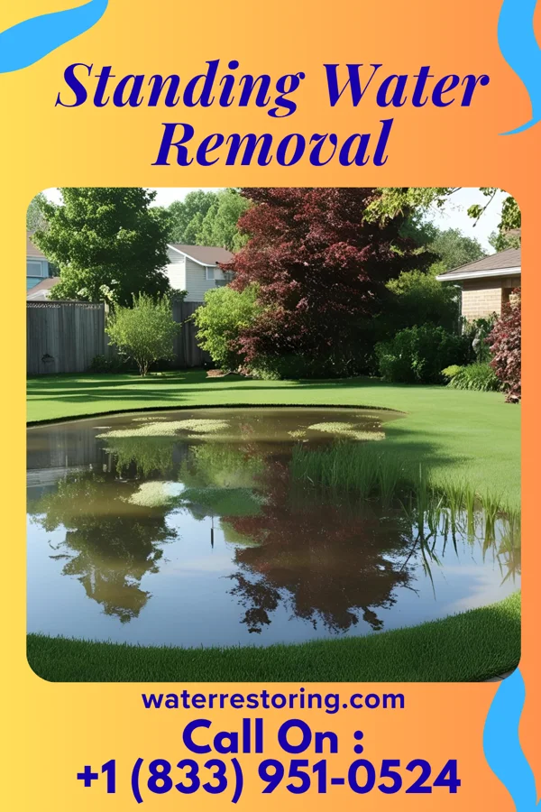 Standing Water Removal in Nanawale Estates, HI